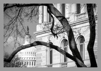 Library of Congress Thomas Jefferson building